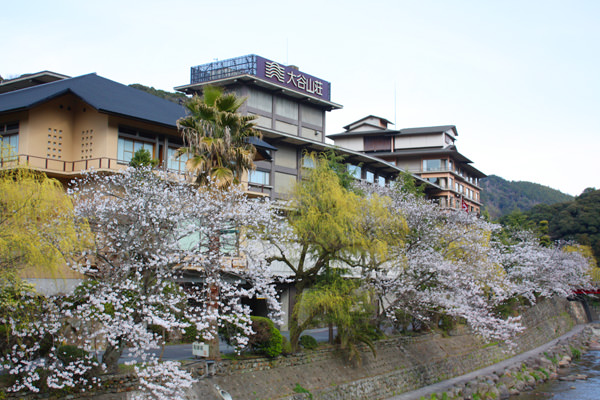4月6日の桜開花状況をお伝えいたします。