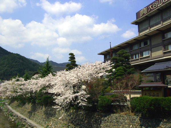 ～４月９日の桜開花状況～