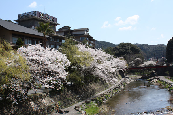 ～４月６日の桜開花状況～