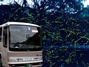 「ホタル観賞」へ出かけませんか？～初夏の旅のご案内