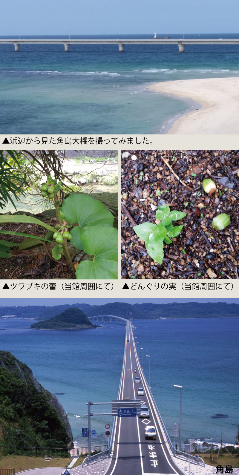 10月女将挨拶メイン