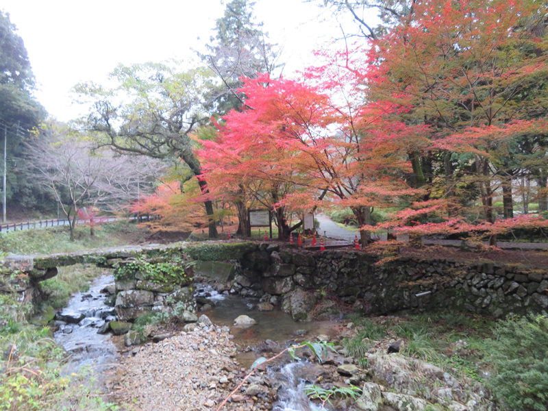 盤石橋紅葉