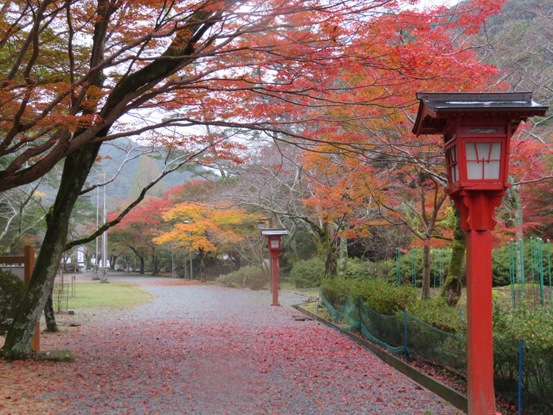 大寧寺の紅葉