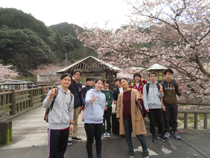 sakura-otanisanso
