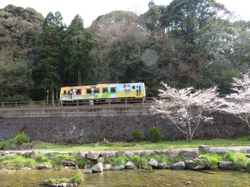 sakura-otanisanso