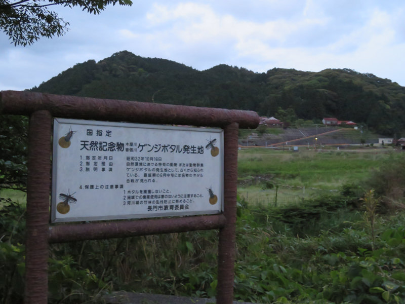 sakura-otanisanso