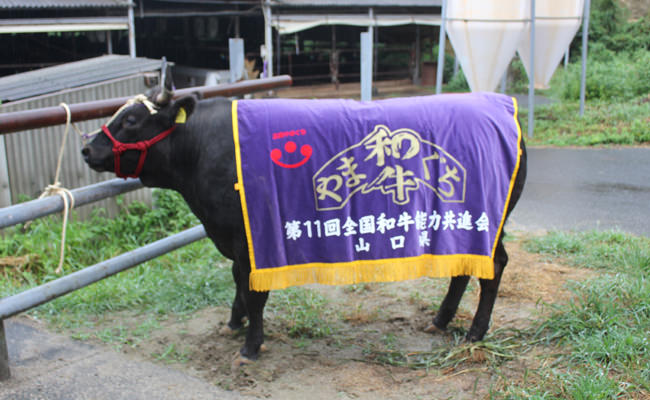 黒毛和牛