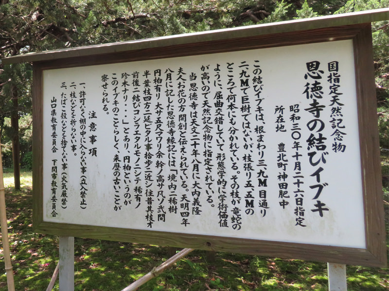 国指定