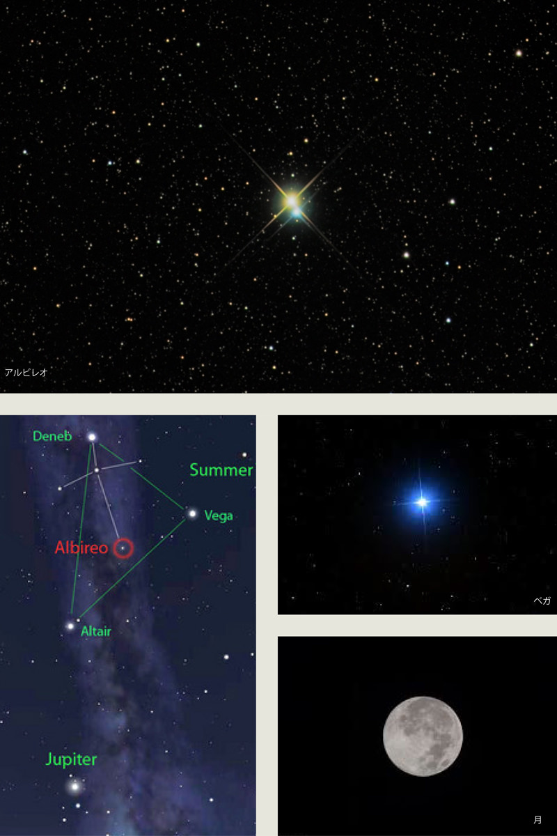 【体験】9月は白鳥座の冠・アルビレオ。長門の星空観測へようこそ～大谷山荘の天体ドーム
