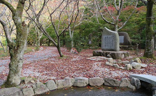東屋周辺"