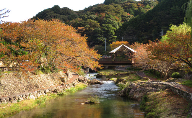 音信川沿いの紅葉2"　width="650"