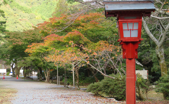大寧寺の紅葉"　width="650"