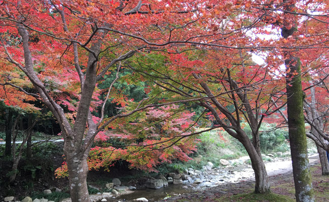 大寧川"