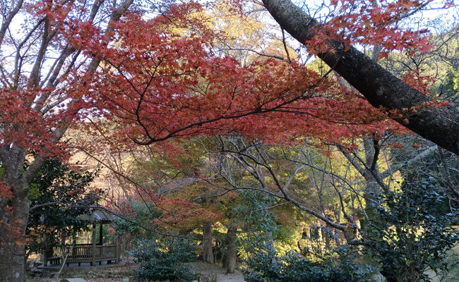 東屋"