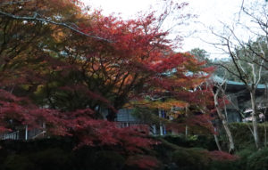 taineijiautumn2