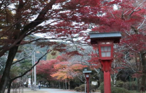 taineijiautumn3