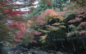 taineijiautumn1