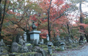 taineijiautumn5