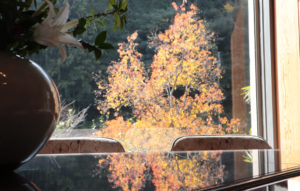 山荘の紅葉