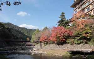 大谷山荘の紅葉