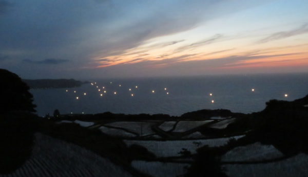 【Yamaguchi Sightseeing】The Yuya Terraced Rice Fields, featured in 