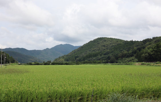 kawaharatakuro-farm