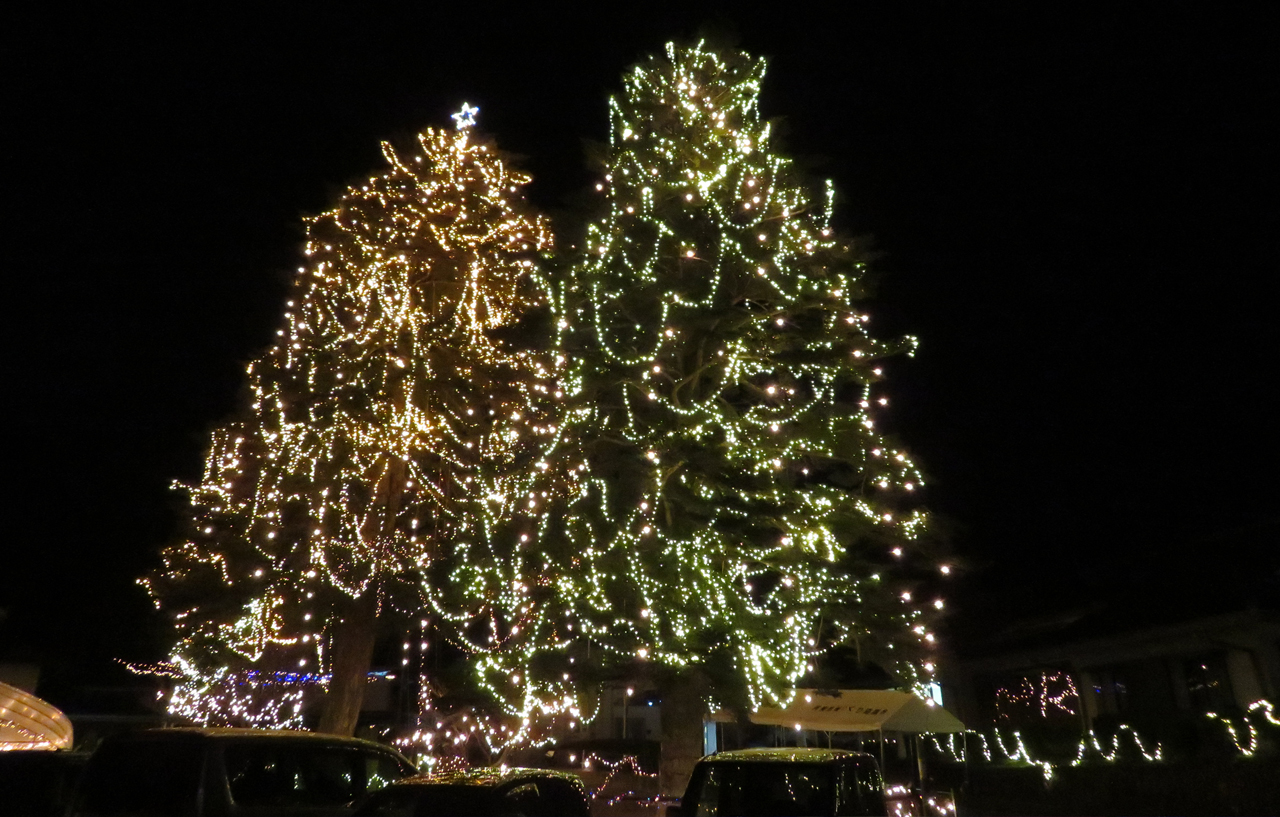 christmastreeato