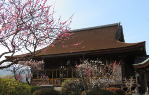 ryufukuji-hondou