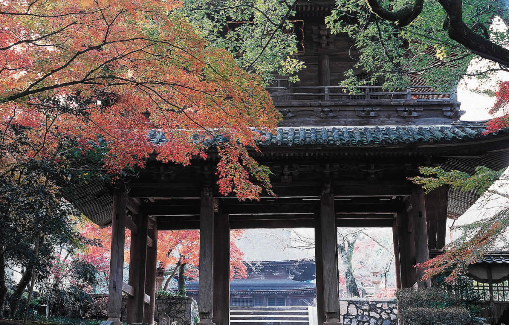 autumnleaves_kouzanji1_oidemaseyamaguchi