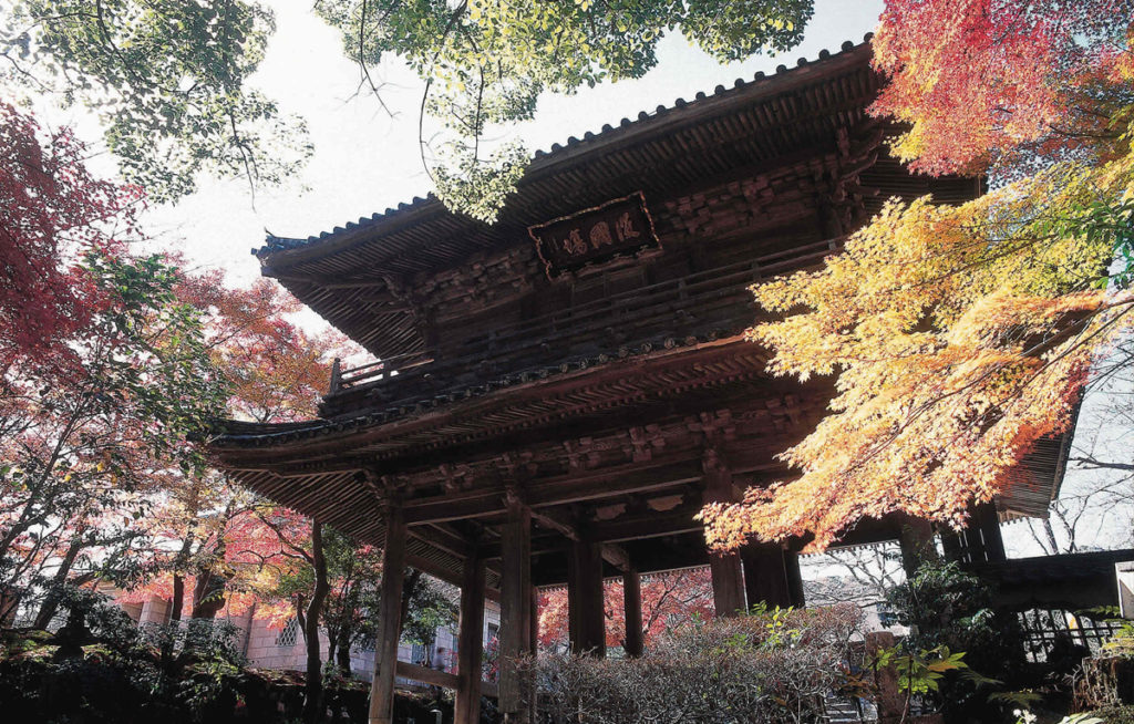 autumnleaves_kouzanji4_oidemaseyamaguchi