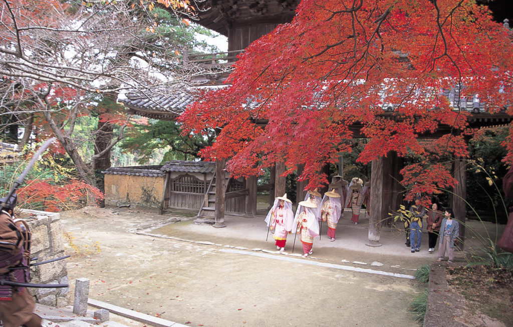 autumnleaves_kouzanji5_oidemaseyamaguchi