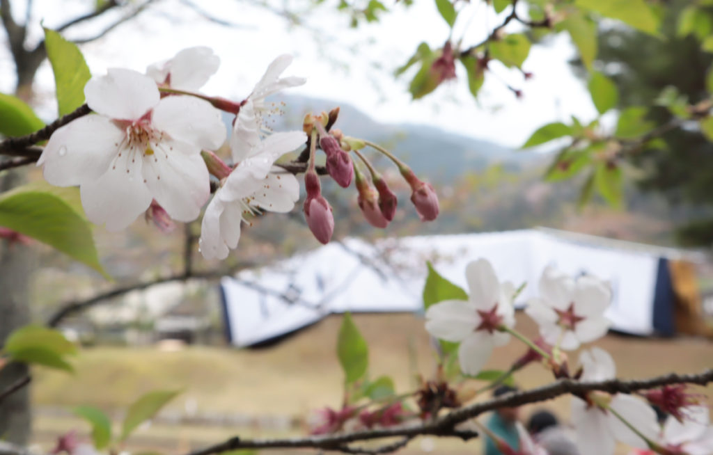 horsebackarchery5_tsuwano