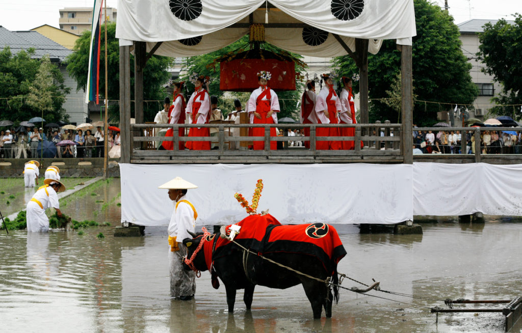 otauesinnji2_sumiyoshitaisya