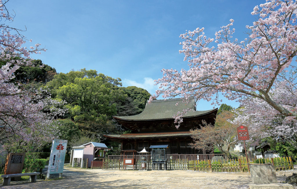sakura_kouzanji1_shimonosekisitourismpolicydivision