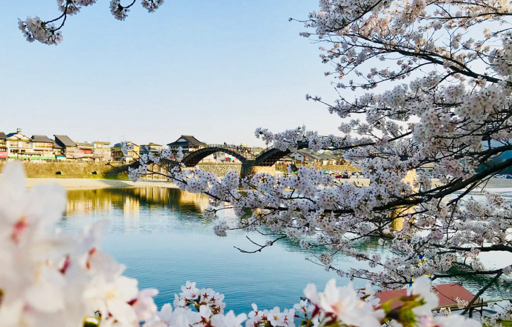 sakurafune3__iwakuni_oidemaeyamaguchi