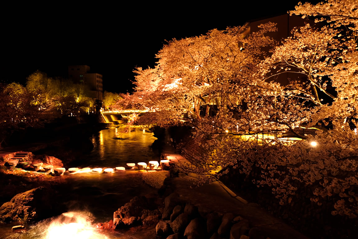 夜桜
